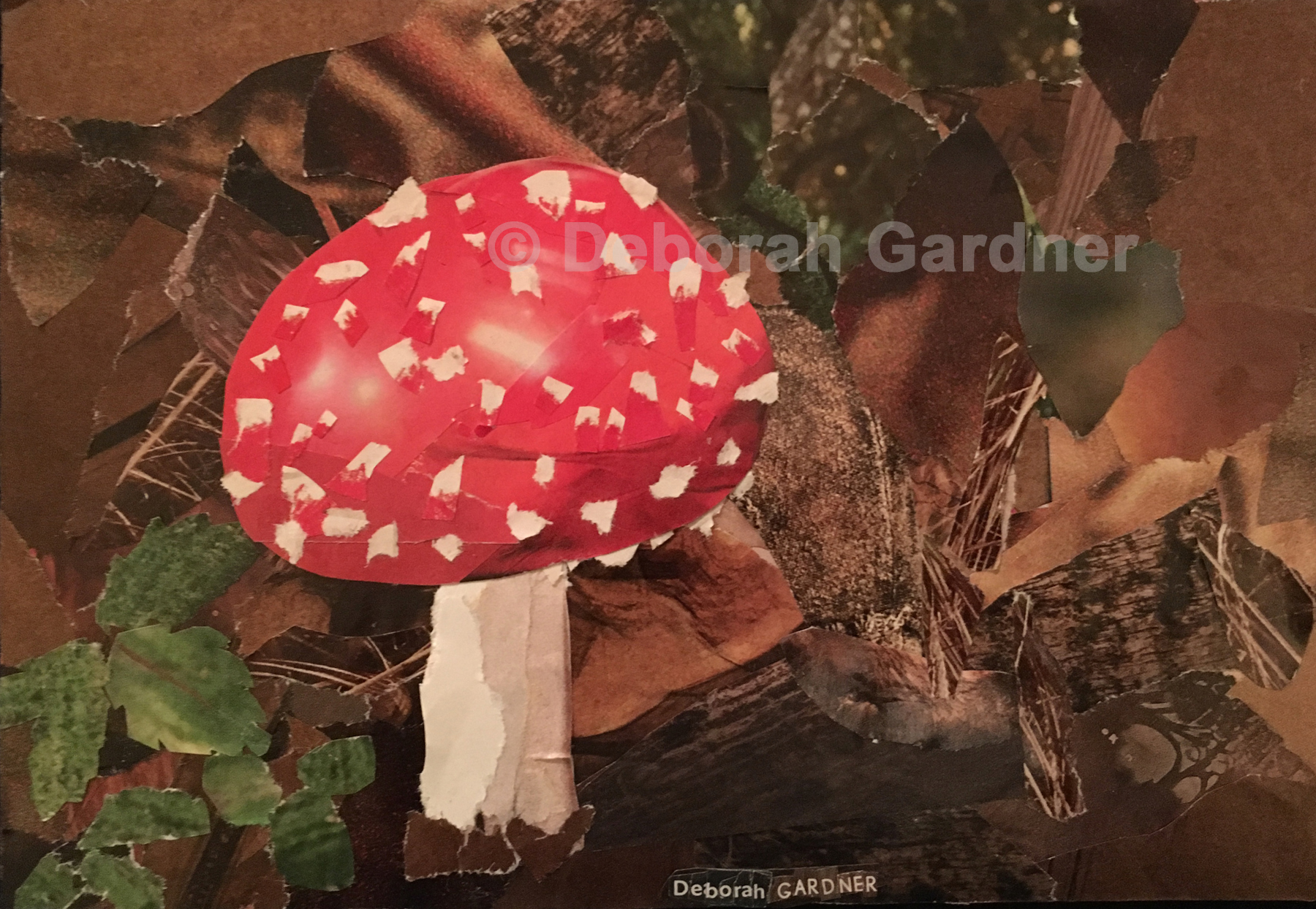 A collage depicting an Amanita muscaria mushroom––a classic red cap with white spots and a white stem.