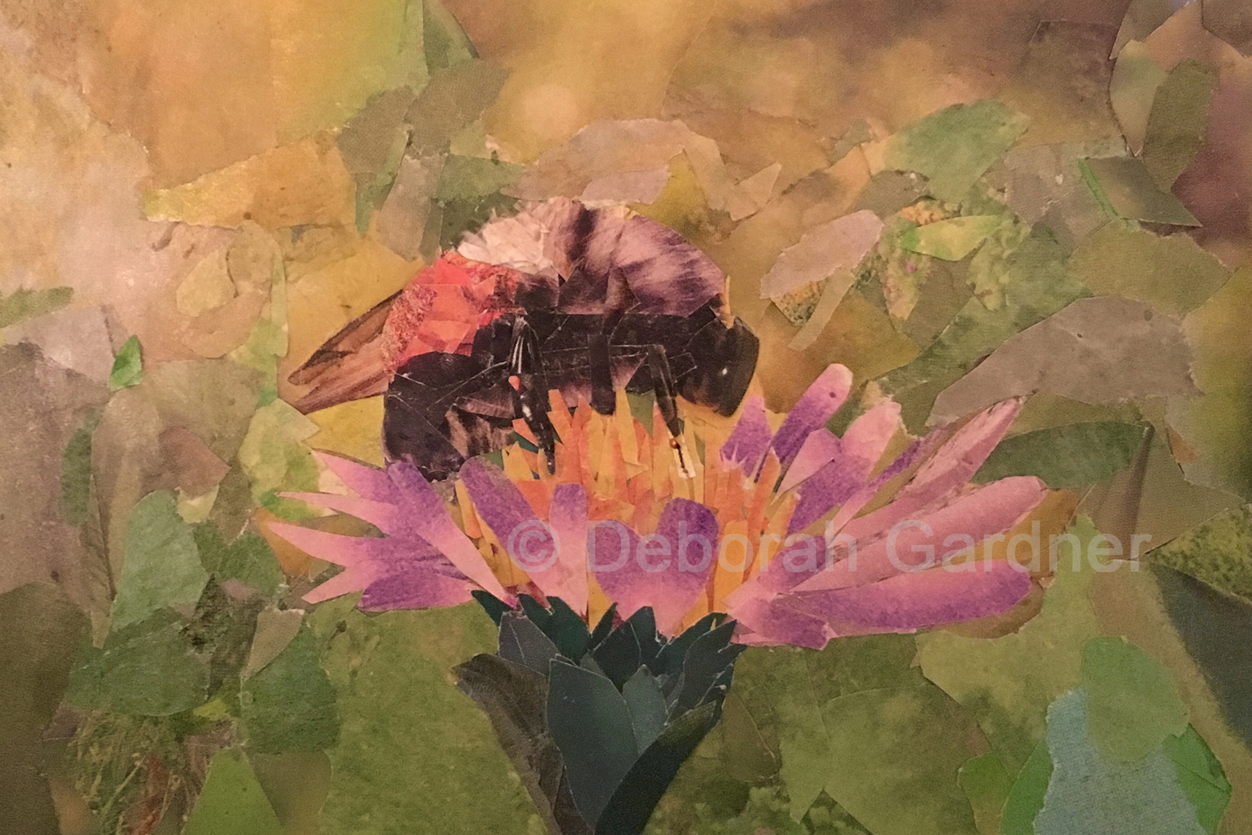 Picture of a collage image representing a bee on a purple wildflower