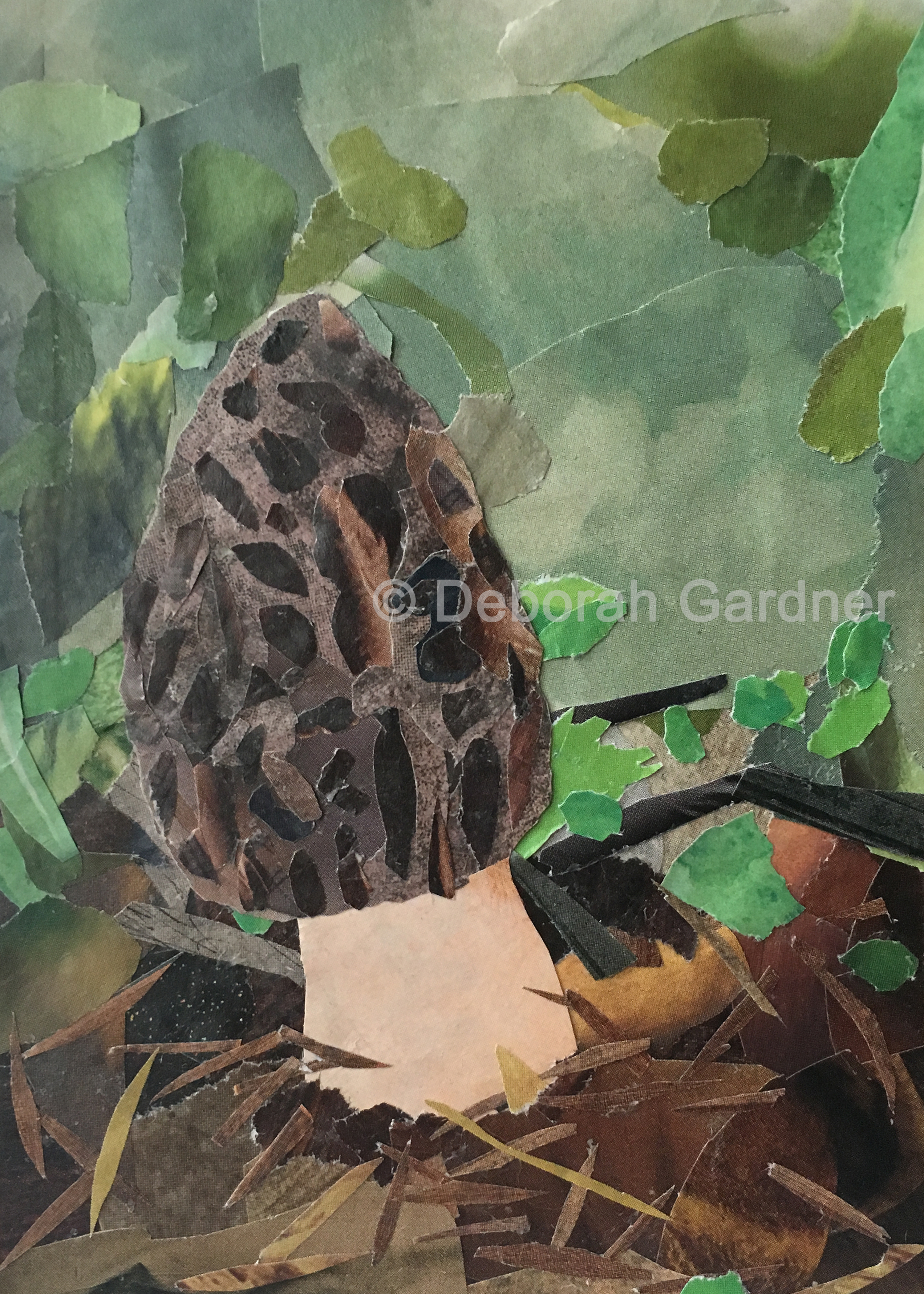 Picture of a collage representing a morel mushroom.